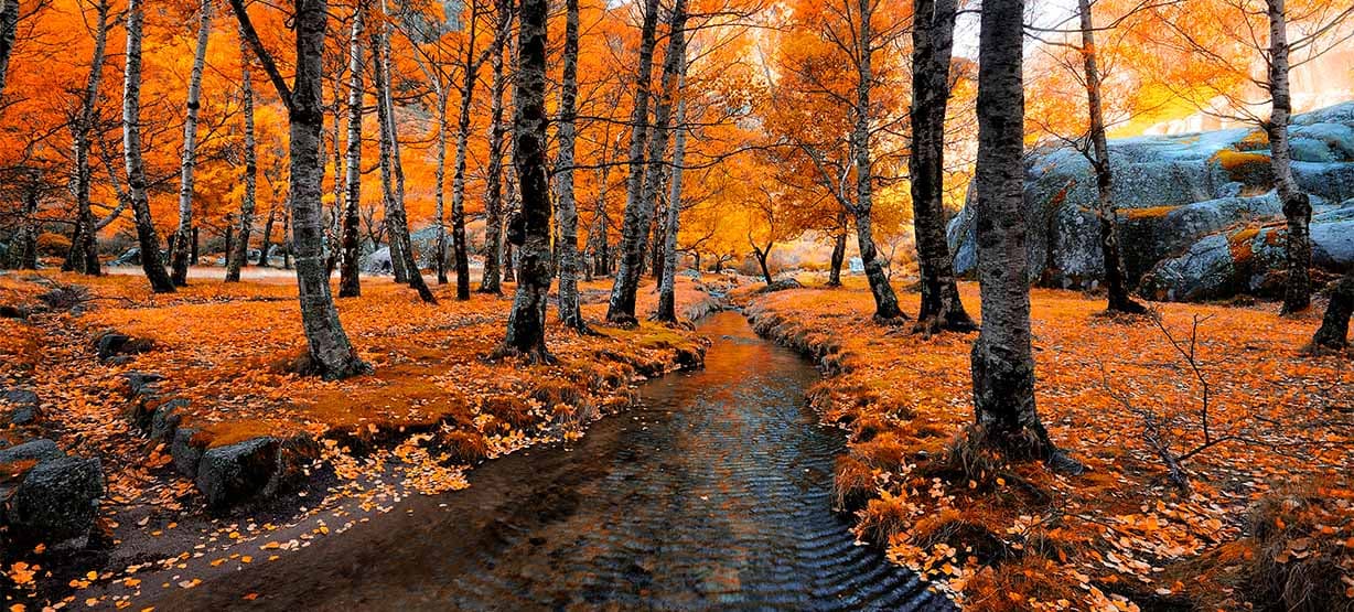 Serra da Estrela-Autumn